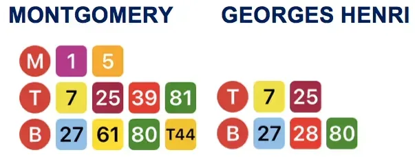 Lignes de métro, tram et bus aux arrêts Montgomery et Georges Henri